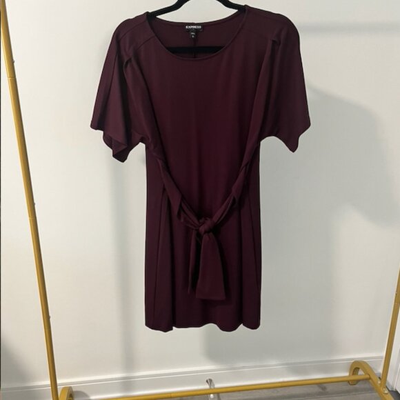 Plum T-Shirt Express Dress - Picture 2 of 2